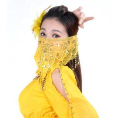 Belly Dance Veil with Beads