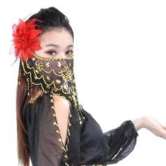 Belly Dance Veil with Beads