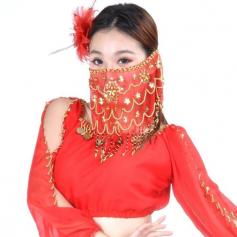 Belly Dance Veil with Beads