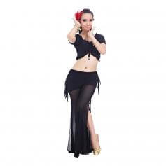 Fashion 2-Piece Belly Dance Costume