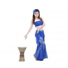 Lace 2-Piece Belly Dance Costume