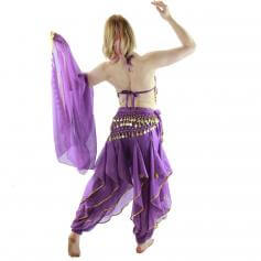 Little chilli 5-Piece Belly Dance Costume