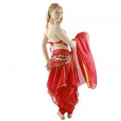 Little chilli 5-Piece Belly Dance Costume