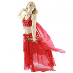 Florals 5-Piece Bra and Muslin Skirt Belly Dance Costume