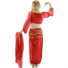 Long Sleeves Bloomer 5-Piece Belly Dance Costume