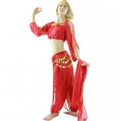 Long Sleeves Bloomer 5-Piece Belly Dance Costume