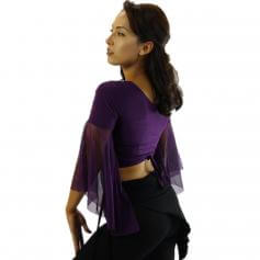 Chiffon Belly Dance Top with Transparent Sleeves
