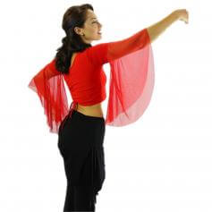 Chiffon Belly Dance Top with Transparent Sleeves