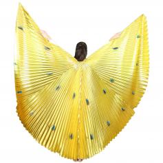 Peacock Worship Angel Wing