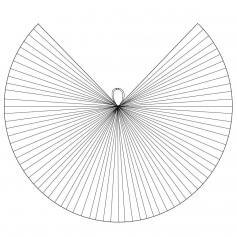Peacock Worship Angel Wing