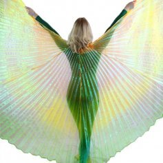 Orange-Gold-Green Gradient Color Worship Angel Wing