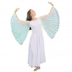 Danzcue Praise Dance Full Length Wing Sleeve Dress