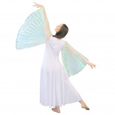 Danzcue Praise Dance Full Length Wing Sleeve Dress