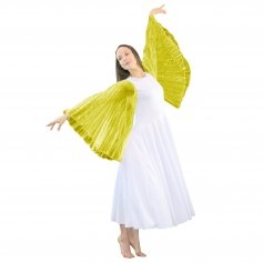 Danzcue Praise Dance Full Length Wing Sleeve Dress
